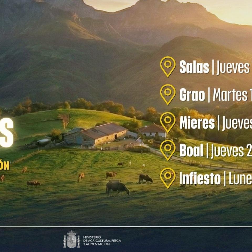 jornadas de difusion